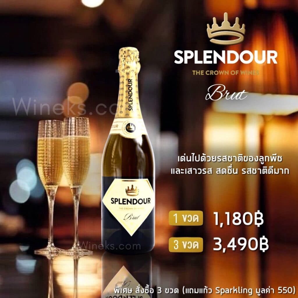 Splendour ราคาในไทย ส่งด่วน กทม