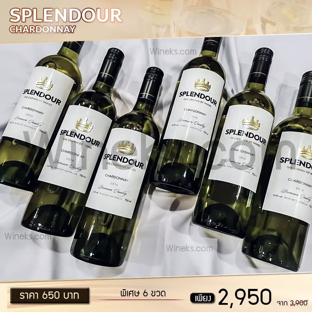 Splendour ราคาในไทย ส่งด่วน กทม