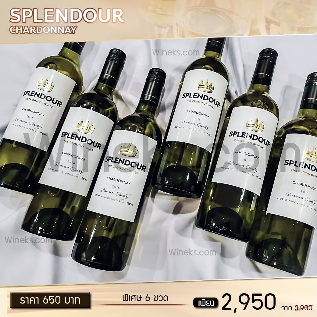 Splendour